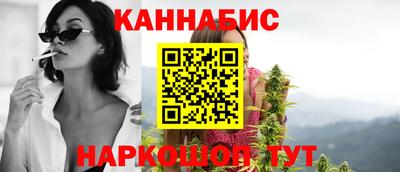 сатива Шахты