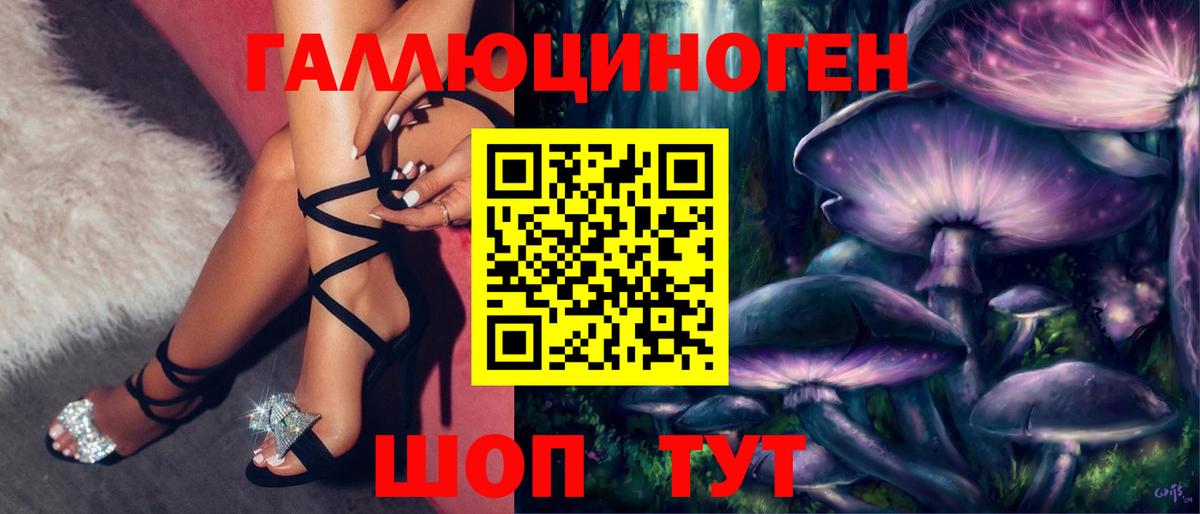 Богородск  Галлюциногенные грибы Psilocybine cubensis  Вход с VPN 